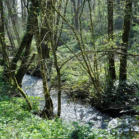 Les Glycines - Shared Heated Pool - Garden - Garden Of Eden Vernoux-en-Gâtine